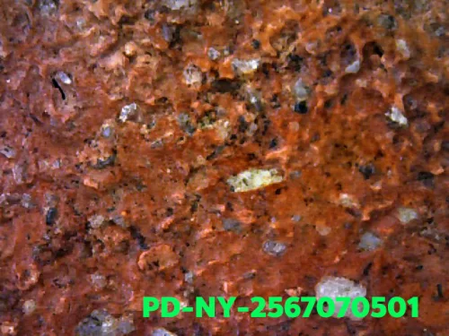 1000× magnification — Phra Wisutthikasat amulet, Yai (large) curved knee, Fired