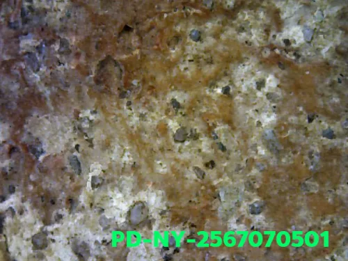 1000× magnification — Phra Wisutthikasat amulet, Yai (large) curved knee, Fired