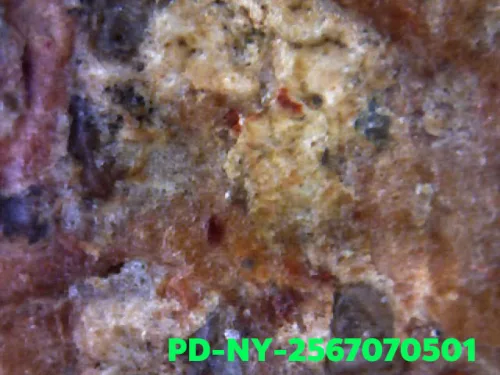 1000× magnification — Phra Wisutthikasat amulet, Yai (large) curved knee, Fired