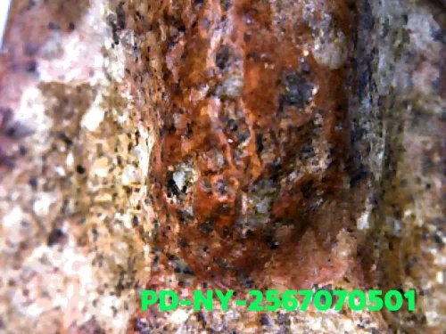 1000× magnification — Phra Wisutthikasat amulet, Yai (large) curved knee, Fired