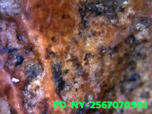 1000× magnification — Phra Wisutthikasat amulet, Yai (large) curved knee, Fired