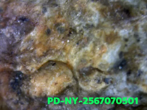 1000× magnification — Phra Wisutthikasat amulet, Yai (large) curved knee, Fired