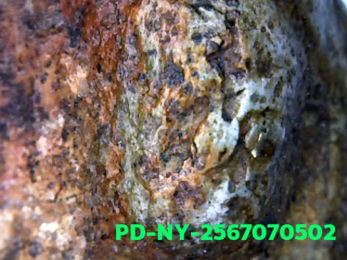100 倍放大 — 维素提卡萨王后佛牌 大模 弯膝 烧制泥料 南帕雅寺 彭世洛府 佛历 2300