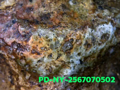 100 倍放大 — 维素提卡萨王后佛牌 大模 弯膝 烧制泥料 南帕雅寺 彭世洛府 佛历 2300