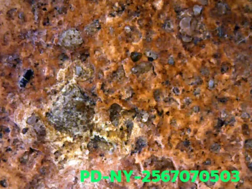 100× magnification — Phra Wisutthikasat amulet, Yai (large) curved knee, Fired