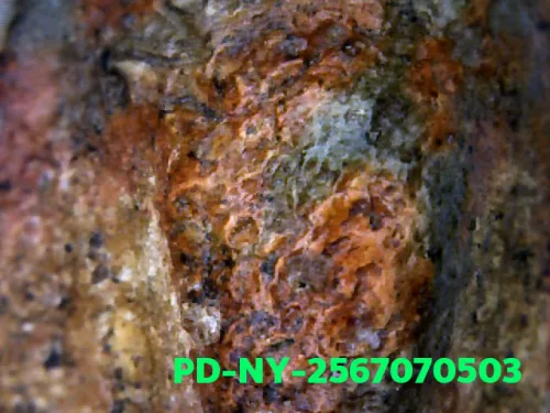 100× magnification — Phra Wisutthikasat amulet, Yai (large) curved knee, Fired