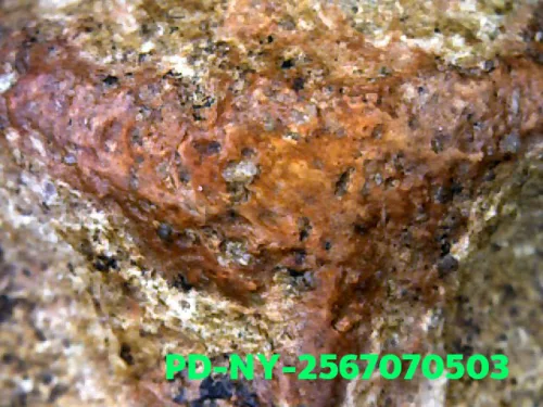 100× magnification — Phra Wisutthikasat amulet, Yai (large) curved knee, Fired