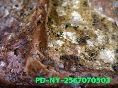 100× magnification — Phra Wisutthikasat amulet, Yai (large) curved knee, Fired