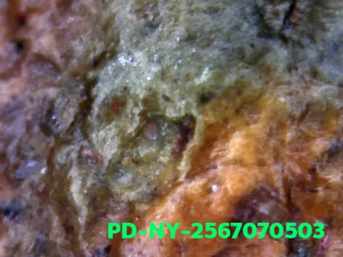 1000× magnification — Phra Wisutthikasat amulet, Yai (large) curved knee, Fired