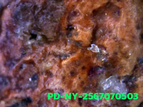 1000× magnification — Phra Wisutthikasat amulet, Yai (large) curved knee, Fired