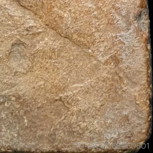 100 倍放大 — 素可泰立泰王佛牌 大模 有卡诺纹 烧制泥料 甘烹碧 甘烹碧府 佛历 1900