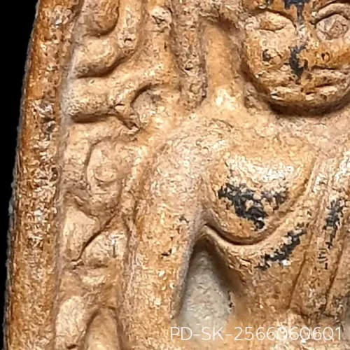 100 倍放大 — 素可泰立泰王佛牌 大模 有卡诺纹 烧制泥料 甘烹碧 甘烹碧府 佛历 1900