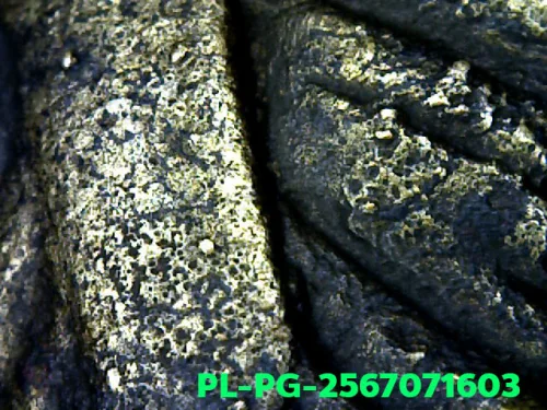 100 倍放大 — 龍婆銀佛牌 基打 四衣襬 合金 瓦邦干寺 披集府 佛曆 2462
