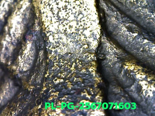 100 倍放大 — 龍婆銀佛牌 基打 四衣襬 合金 瓦邦干寺 披集府 佛曆 2462