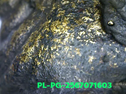 100 倍放大 — 龍婆銀佛牌 基打 四衣襬 合金 瓦邦干寺 披集府 佛曆 2462