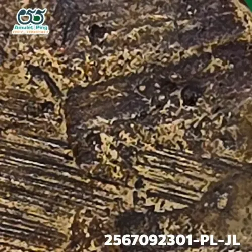 100× magnification — Luang Phor Ngern coin, Job Lek (small hoe) joined shins