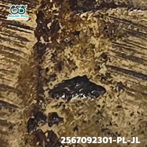 100× magnification — Luang Phor Ngern coin, Job Lek (small hoe) joined shins
