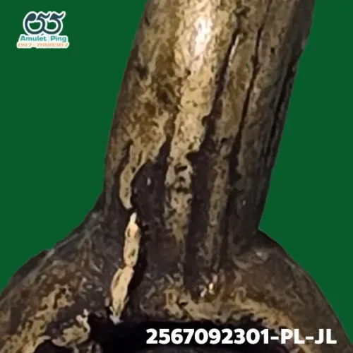 100× magnification — Luang Phor Ngern coin, Job Lek (small hoe) joined shins