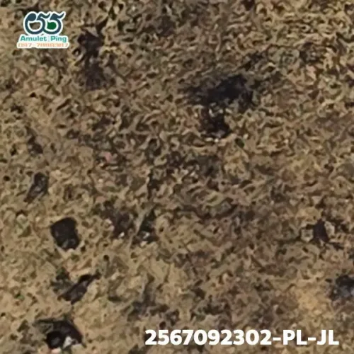 100 倍放大 — 龍婆銀銅牌 小鋤形 並腿 合金 瓦邦干寺 披集府 佛曆 2462