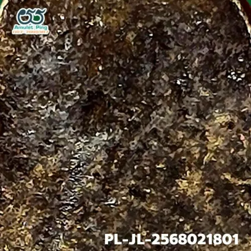 100× magnification — Luang Phor Ngern coin, Job Lek (small hoe) straight shin