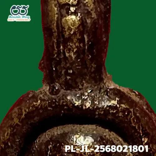 100× magnification — Luang Phor Ngern coin, Job Lek (small hoe) straight shin
