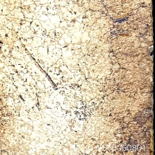 100× magnification — Somdej Toh amulet, lotus-bud topknot, Sacred powder