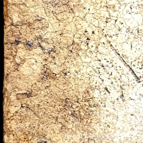 100× magnification — Somdej Toh amulet, lotus-bud topknot, Sacred powder