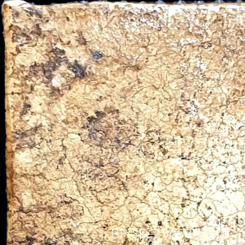 100× magnification — Somdej Toh amulet, lotus-bud topknot, Sacred powder