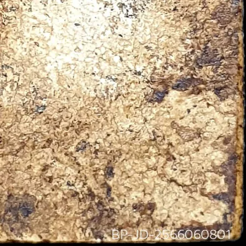 100× magnification — Somdej Toh amulet, lotus-bud topknot, Sacred powder