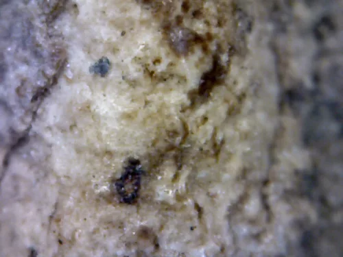 1000× magnification — Somdej Toh amulet, lotus-bud topknot, Sacred powder