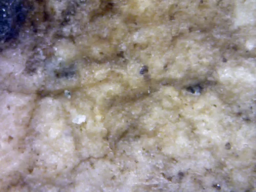 1000× magnification — Somdej Toh amulet, lotus-bud topknot, Sacred powder