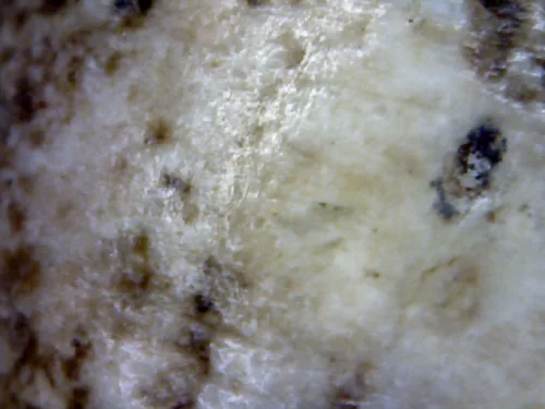 1000× magnification — Somdej Toh amulet, lotus-bud topknot, Sacred powder