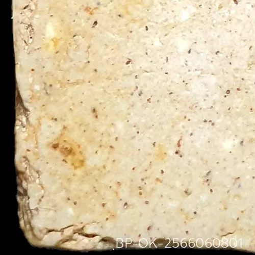 100 倍放大 — 崇迪阿赞多佛牌 鹰胸钵头 圣粉 瓦邦坤蓬寺 曼谷 佛历 2414