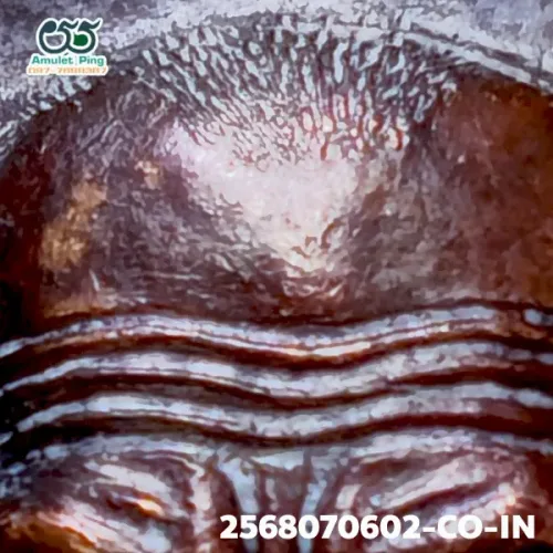 ภาพขยายรายละเอียด เหรียญรุ่นแรก หลวงปู่หมุน ฐิตสีโล อายุ 103 ปี ตอกโค๊ต 