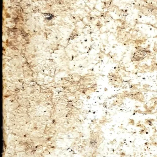 100× magnification — Somdej Toh amulet, Yai (large) Ket Talu Sum (topknot