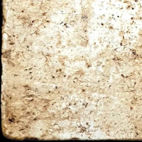 100× magnification — Somdej Toh amulet, Yai (large) Ket Talu Sum (topknot