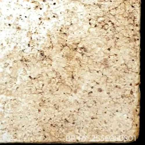 100× magnification — Somdej Toh amulet, Yai (large) Ket Talu Sum (topknot