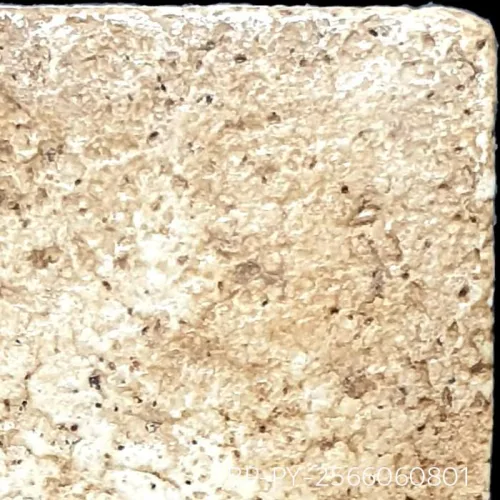 100× magnification — Somdej Toh amulet, Yai (large) Ket Talu Sum (topknot