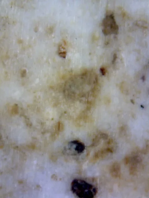 1000× magnification — Somdej Toh amulet, Yai (large) Ket Talu Sum (topknot