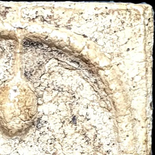 100× magnification — Somdej Toh amulet, Yai (large) Ket Talu Sum (topknot