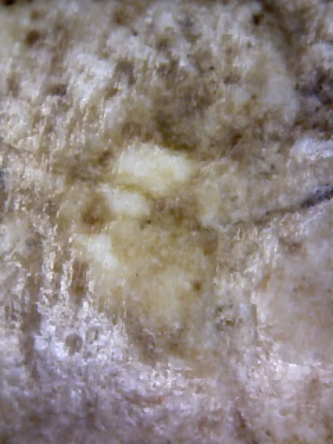 1000× magnification — Somdej Toh amulet, Yai (large) Ket Talu Sum (topknot