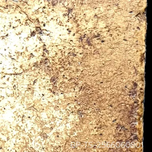 100 倍放大 — 崇迪阿赞多佛牌 插底座 胸沟 长耳 圣粉 瓦邦坤蓬寺 曼谷 佛历 2414