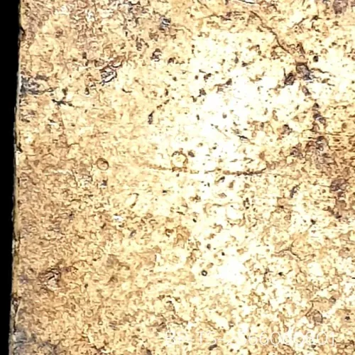 100 倍放大 — 崇迪阿赞多佛牌 插底座 胸沟 长耳 圣粉 瓦邦坤蓬寺 曼谷 佛历 2414
