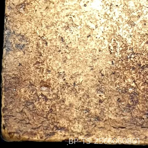 100 倍放大 — 崇迪阿赞多佛牌 插底座 胸沟 长耳 圣粉 瓦邦坤蓬寺 曼谷 佛历 2414