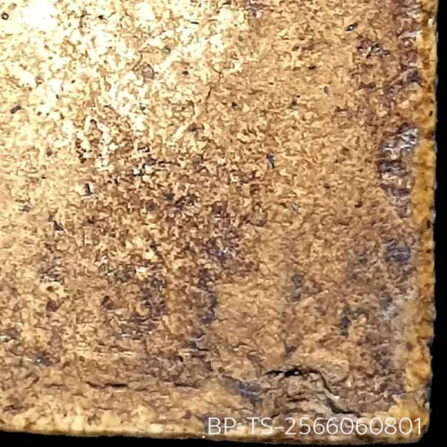 100 倍放大 — 崇迪阿赞多佛牌 插底座 胸沟 长耳 圣粉 瓦邦坤蓬寺 曼谷 佛历 2414