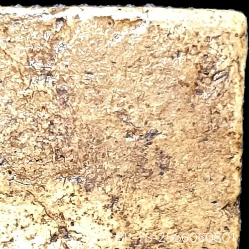 100 倍放大 — 崇迪阿赞多佛牌 插底座 胸沟 长耳 圣粉 瓦邦坤蓬寺 曼谷 佛历 2414