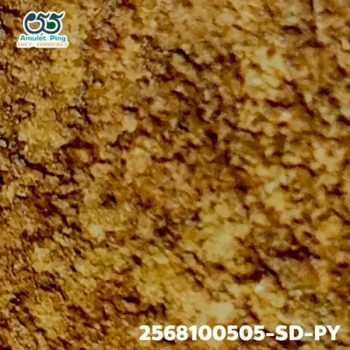 100× magnification — Somdej Toh amulet, Phim Yai, Phra Prathan, Sacred powder