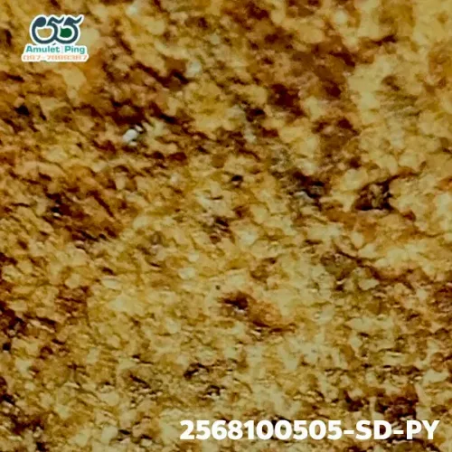 100× magnification — Somdej Toh amulet, Phim Yai, Phra Prathan, Sacred powder