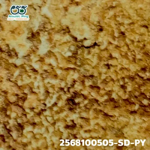 100× magnification — Somdej Toh amulet, Phim Yai, Phra Prathan, Sacred powder