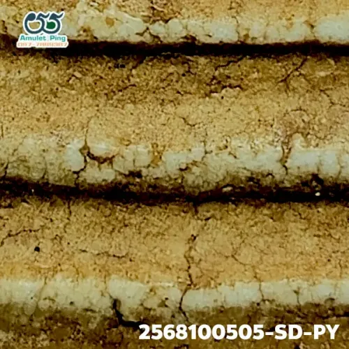 100× magnification — Somdej Toh amulet, Phim Yai, Phra Prathan, Sacred powder